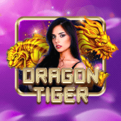 Dragon Tiger luckybingo live casino