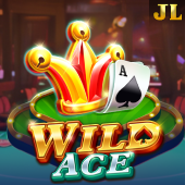 Wild Ace luckybingo slot game